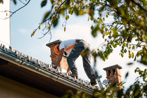 Best Tile Roofing Contractor  in Three Oaks, MI