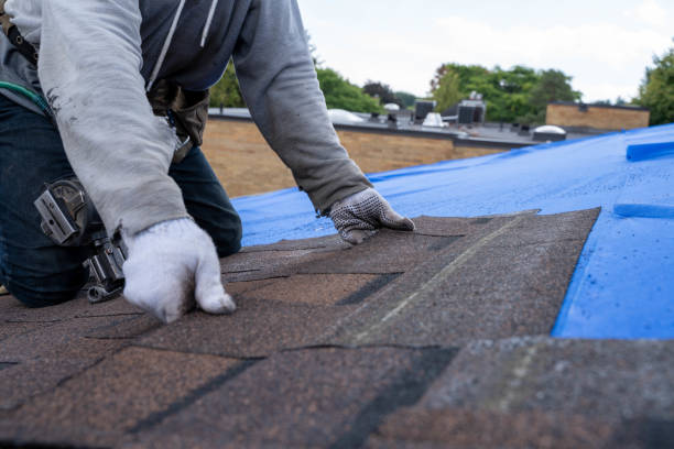 Best Roof Restoration Services  in Three Oaks, MI