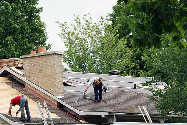 Best Storm Damage Roof Repair  in Three Oaks, MI