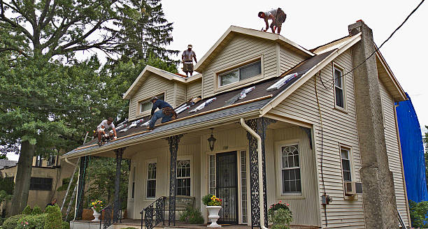 Best Shingle Roofing Installation  in Three Oaks, MI